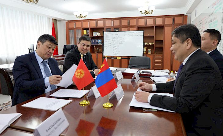 Кыргызстан Монголияга 18 тонна жүн экспорттошу мүмкүн