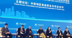 КР намерена продавать сельхозпродукцию в КНР через маркетплейс Alibaba