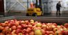 Из каких стран Кыргызстан импортировал яблоки в этом году